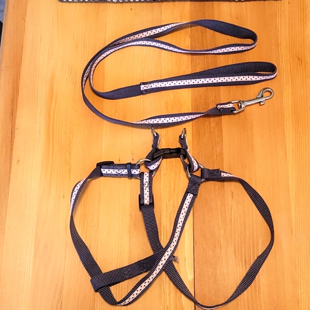 Femle Dog Polkadot HARNESS and MATCHING LEASH